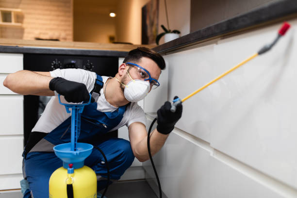 Best Affordable Pest Control Services  in Newtown, PA