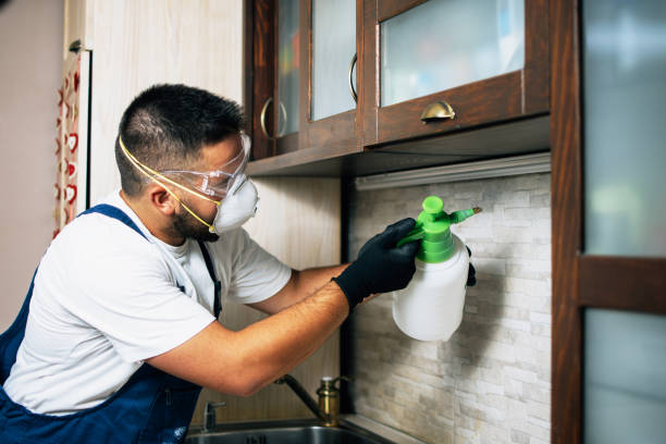 Best Best Pest Control Companies  in Newtown, PA