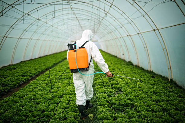 Best Mosquito Control Services  in Newtown, PA