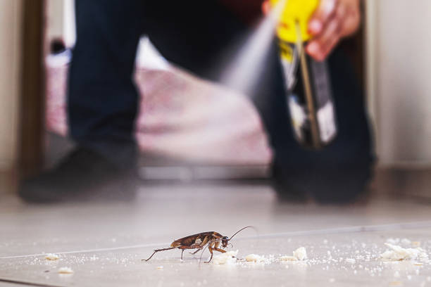 Pest Control for Restaurants in Newtown, PA